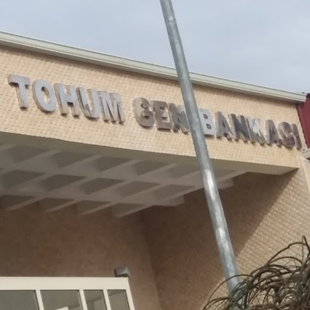 T.C. Tarım ve Orman Bakanlığı Gen Bankası Elektrik Tadilat İşi